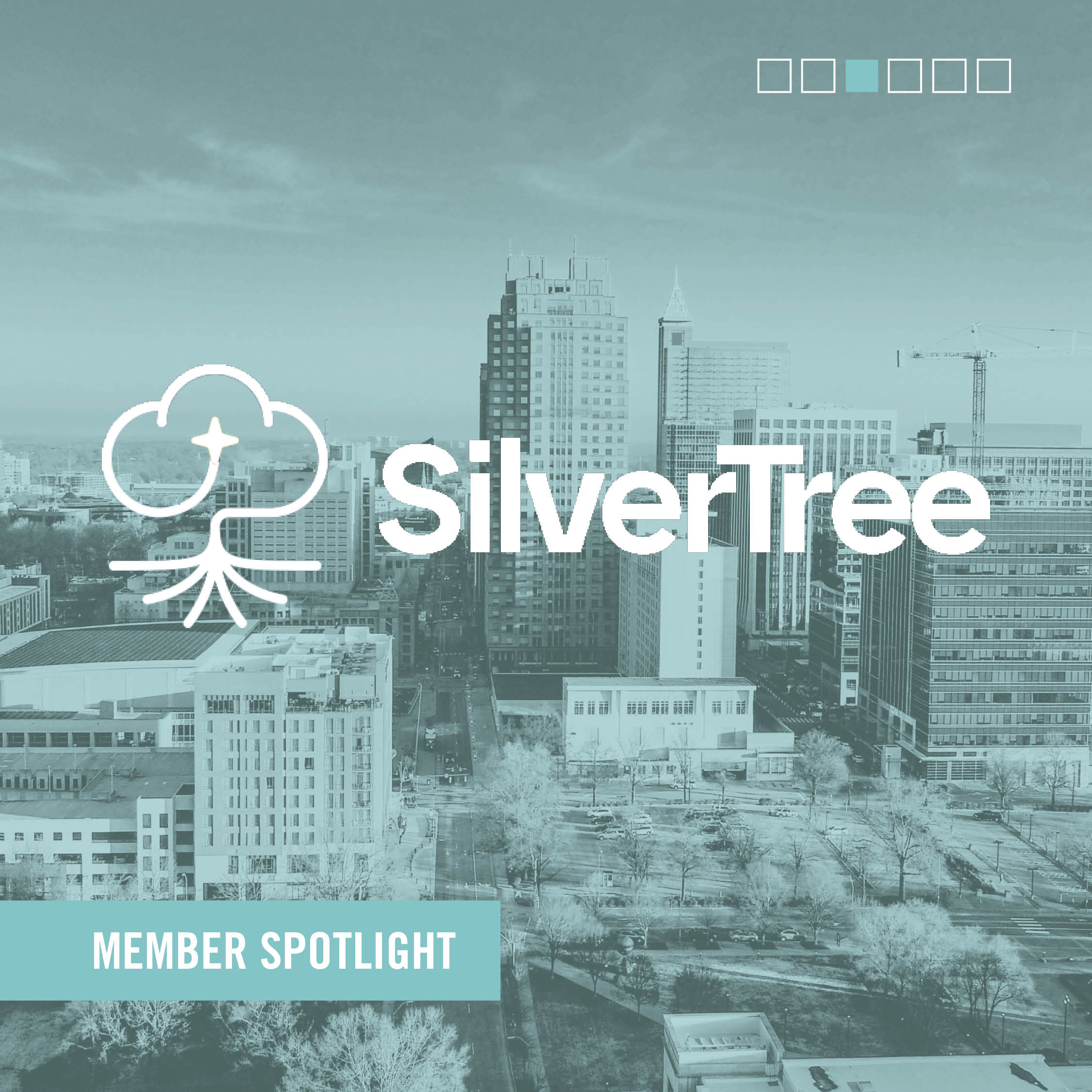  Silver Tree  